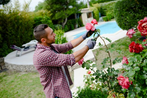 Gardeners Purley maintaining a neat and healthy local garden