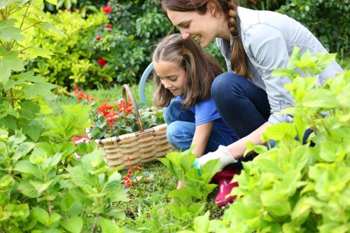Professional lawn care in Purley for a tidy, healthy garden
