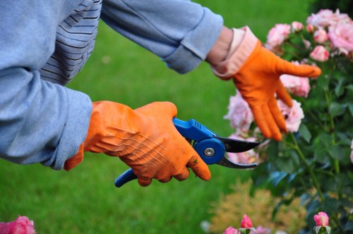 Tree surgeon carrying out professional tree surgery in Purley