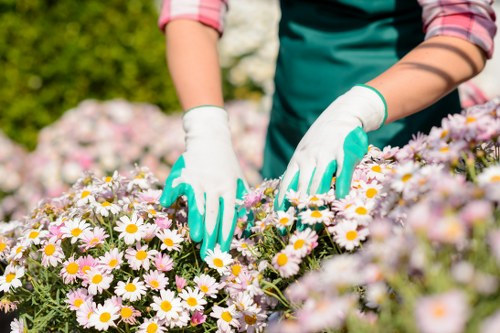 Professional gardening services in Purley for a well-kept front garden