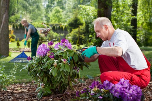 Garden clearance and outdoor tidy-up services in Purley