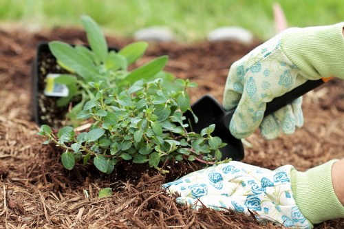 Accessible service statement for Gardeners Purley