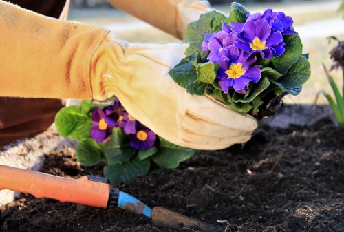 Seasonal garden maintenance in Purley with pruning and weeding