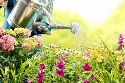Gardeners Purley creating a well-kept and attractive garden