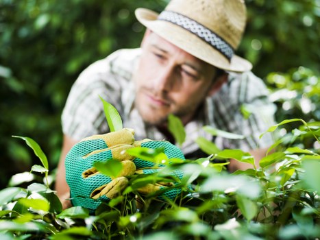 Garden maintenance in Purley with PPE and safety checks