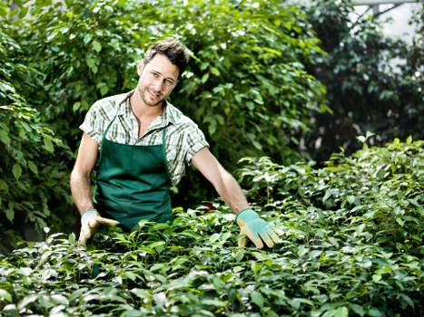 Professional garden maintenance in Purley for healthy outdoor spaces