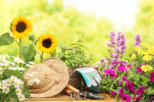 Professional garden care in Purley for a balanced outdoor space