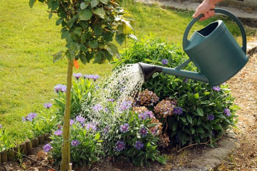 A neat landscaped garden maintained by gardening services in Purley