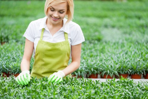 Gardener trimming a lawn in Purley for a clean finish
