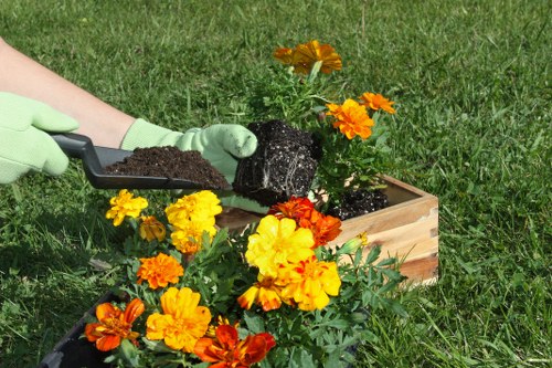 Purley garden maintenance with trimmed hedges and tidy borders