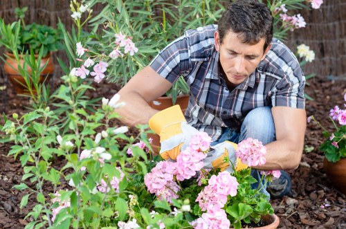 Annual review of the Gardeners Purley modern slavery statement
