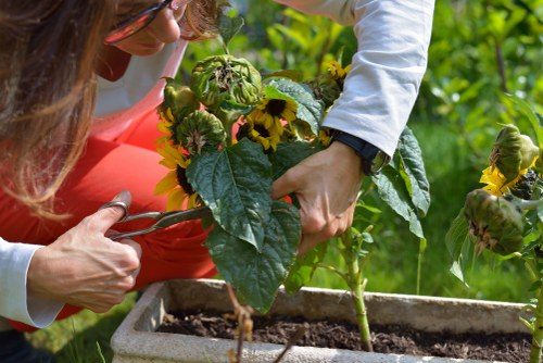 Charity reuse of garden items and tools