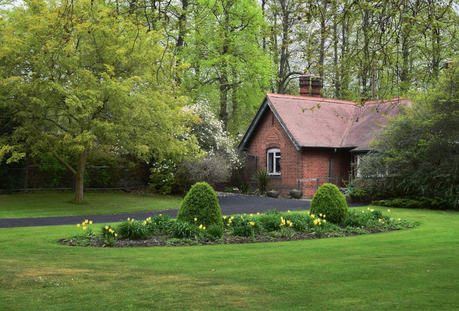A well-maintained garden featuring a lush, green lawn bordered by a flower bed with yellow tulips and low, rounded evergreen shrubs. In the background, a red-brick cottage with a sloped tile roof and 
