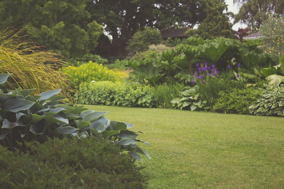 A well-maintained garden featuring a lush, green lawn bordered by a flower bed with yellow tulips and low, rounded evergreen shrubs. In the background, a red-brick cottage with a sloped tile roof and 